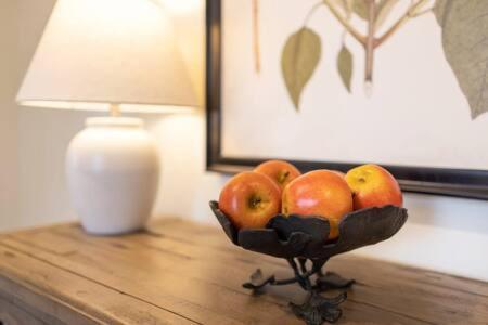 Downtown Luxury Farmhouse Apartment #4 West Dundee Eksteriør bilde